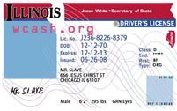 free driver license editable templates
